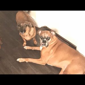 Meet your Posher, Luis